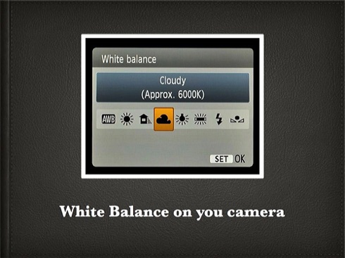 How to White Balance.002.jpg